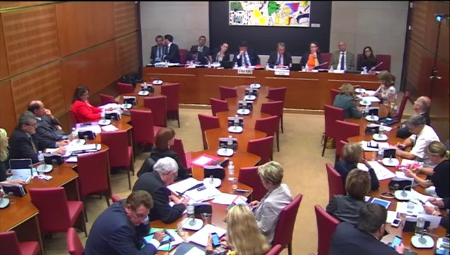 Intervention d'Hervé Féron en Commission des Affaires Culturelles et de l'Education : audition de Patrick KANNER, Ministre de la Ville, de la Jeunesse et des Sports