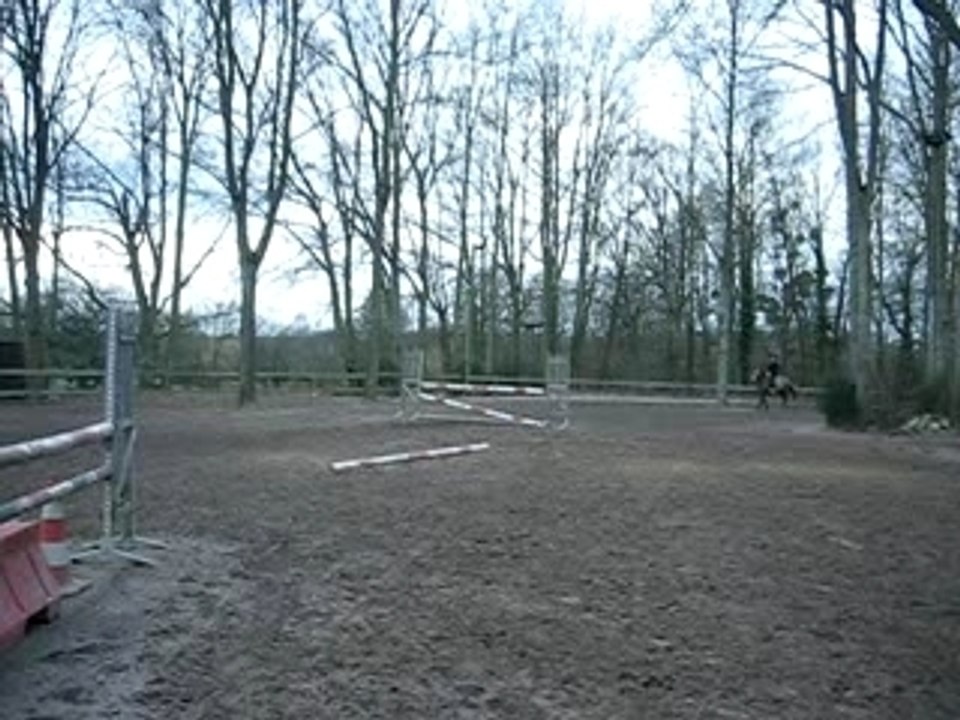 MVI_0980