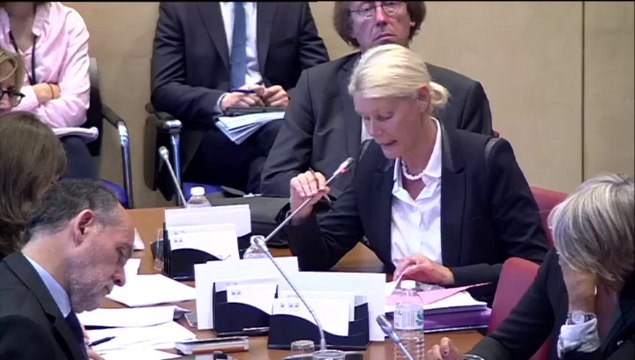 Intervention en Commission des Affaires sociales sur la PPL UMP cf Simplification et développement du travail, de la formation et de l’emploi
