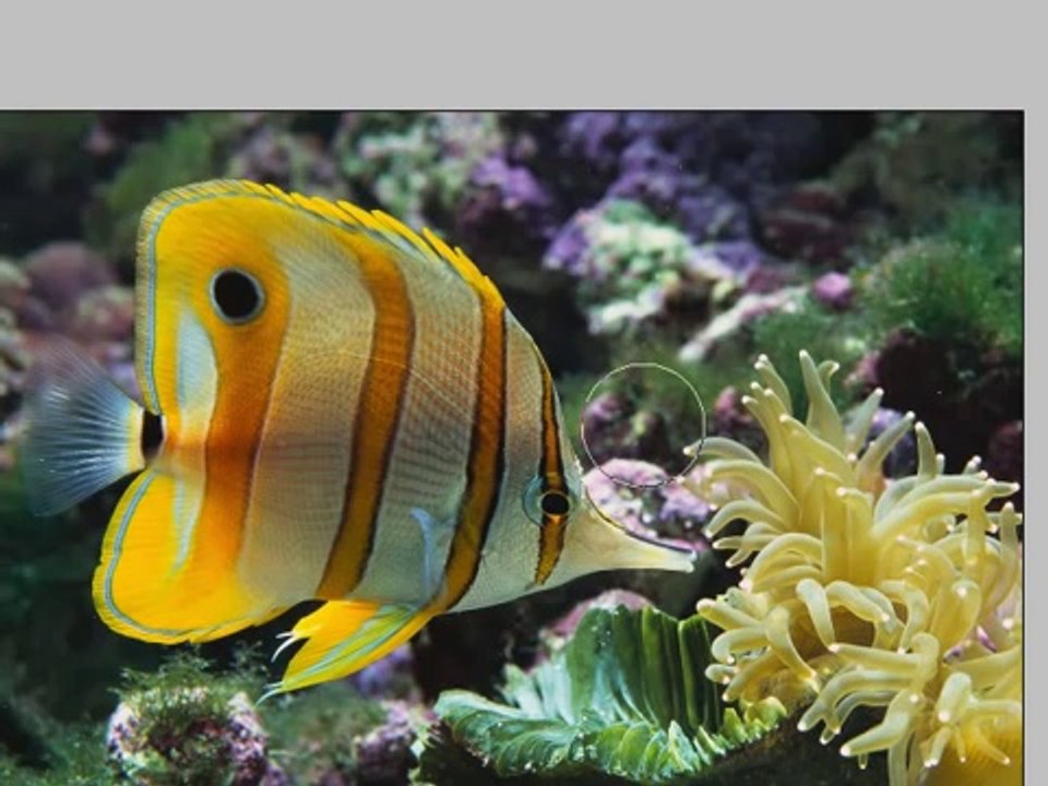 Photoshop Tutorial - 6 - Brush Modes