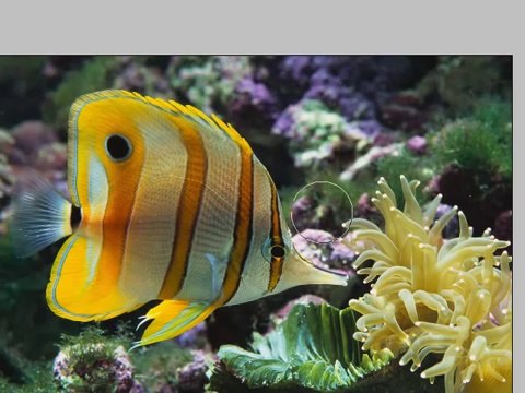 Photoshop Tutorial - 6 - Brush Modes