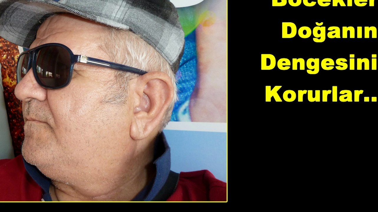 Çelpez.Tv Mantis"Louva-Deus":(Peygamber Devesi) Çağlarca-Antalya
