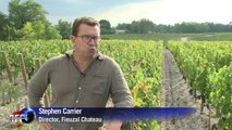 Hot September to give Bordeaux wine 'optimal maturity'