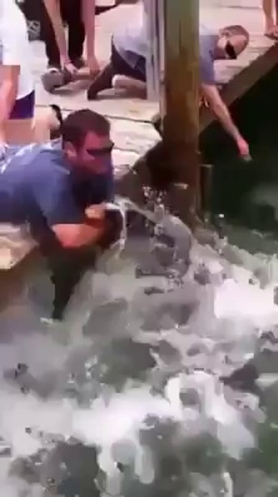 Fish Attacks Man's Hand