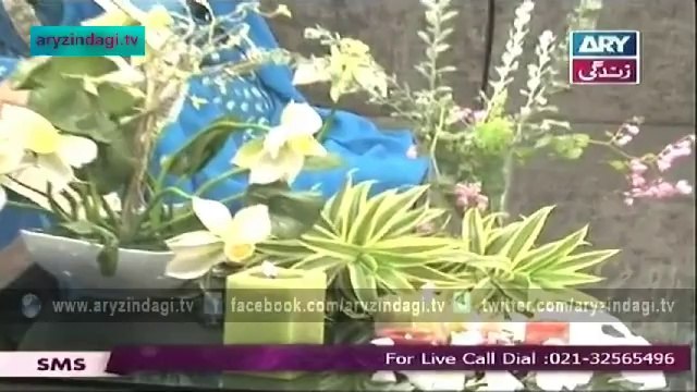 Naheed Ansari Show, 28th September 2014, Dam Pukht