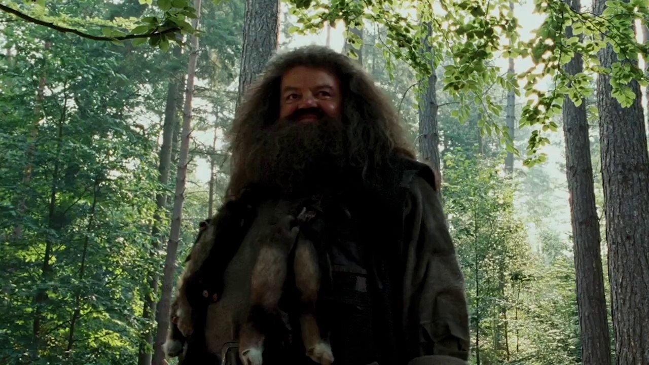 Cette Musique reprend uniquement des paroles de Harry Potter, impressionnant !