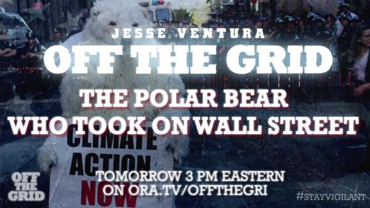 Preview: The Polar Bear Who Took On Wall Street