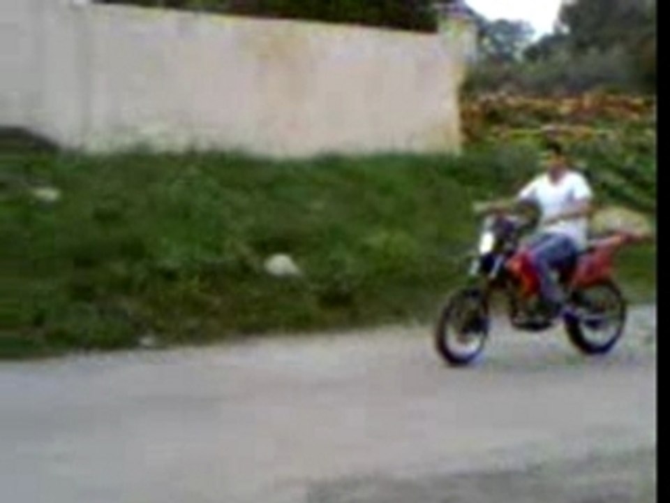 mini leve