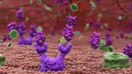 WARTORP N°2 - I'm lovin' IT, McDonald's!