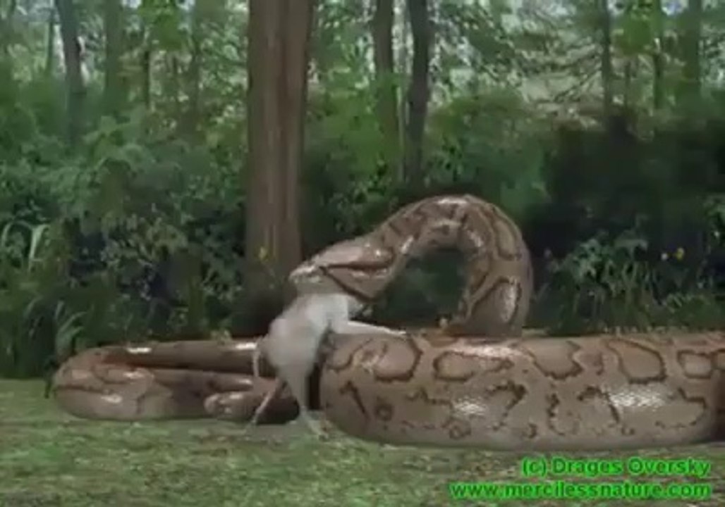 End of Curiosity