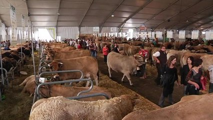 Salon de l'élevage: les agriculteurs remontés