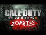 Délires sur le Zombie de Black Ops 2 !