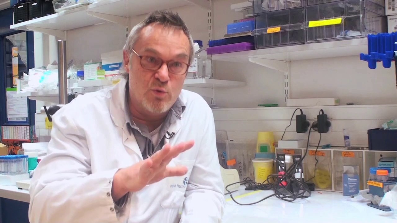 Institut Pasteur-Le paludisme-Robert Menard