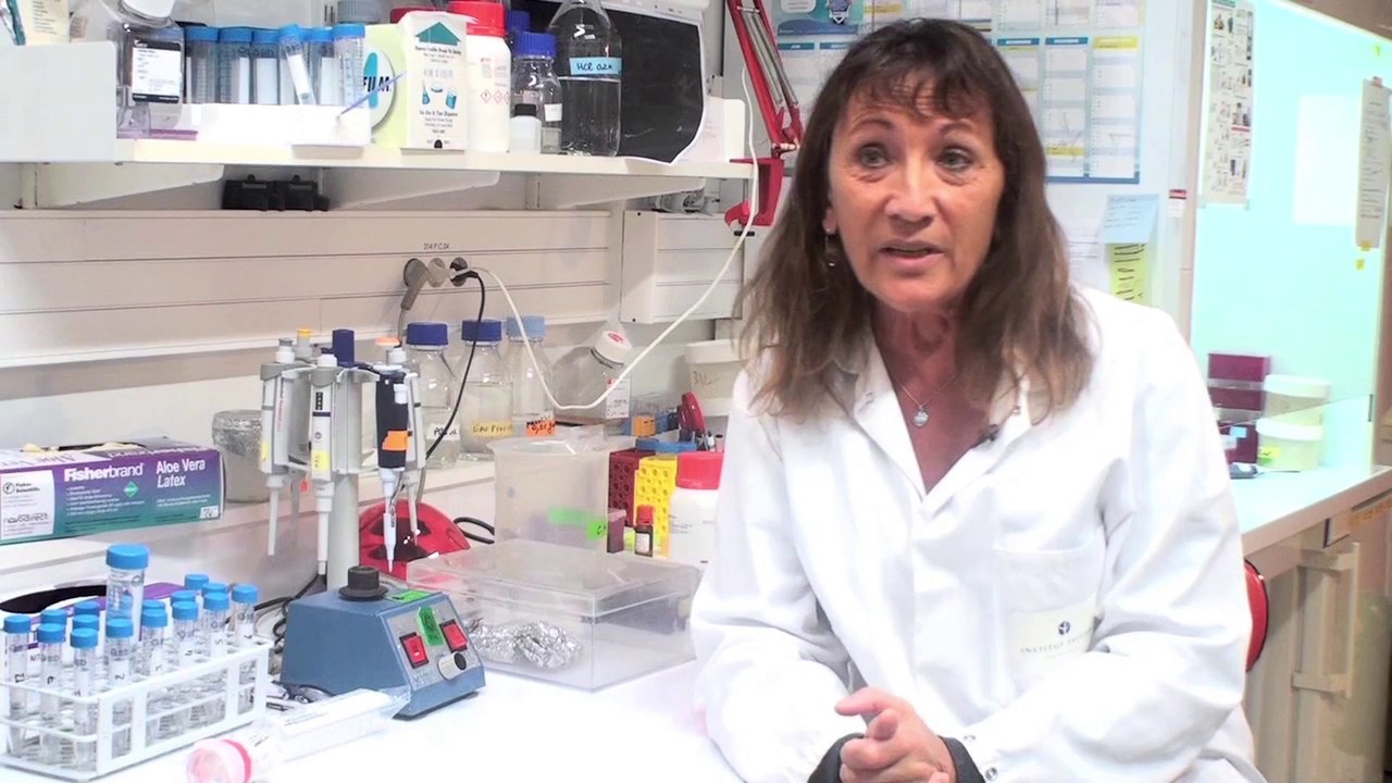 Institut Pasteur - L'hépatite C - Eliane Meurs