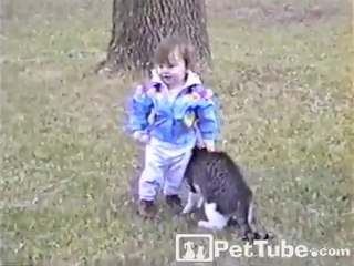 Cat Bumps Baby - Video Dailymotion_2