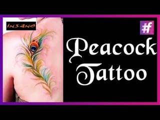 Feather Tattoo: Outline | Peacock Feather Tattoo