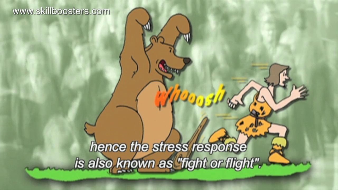 Fight or flight - the stress response