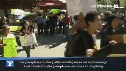 Aux États-Unis, des manifestations de soutien à Hongkong