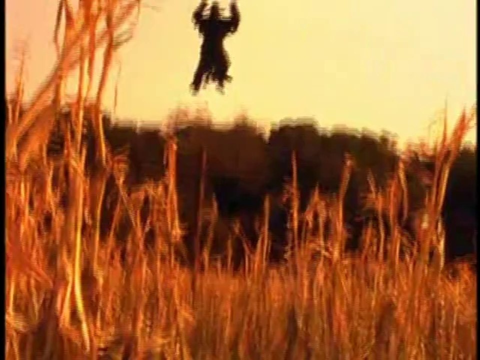 31 DIAS DE HORROR DIA #8