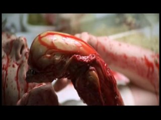 31 DIAS DE HORROR DIA #10