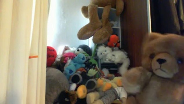 Wiwi égratigne douceur tropicale de Michel Lorin