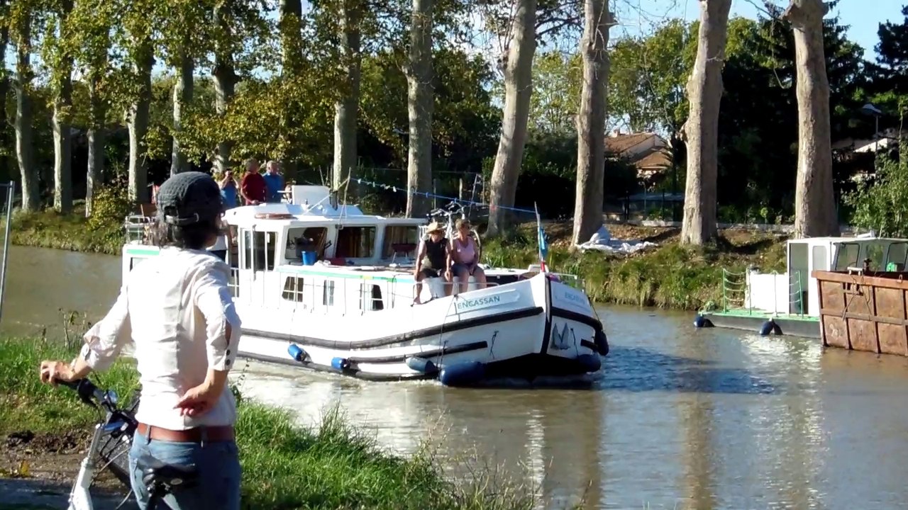FHD 2014 Octobre 01 Canal du Midi, Villeneuve-les-Béziers : Lutte contre le chancre coloré du platane (2 de 4)
