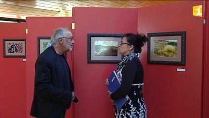 Concours photo : des bleuets pyromanes