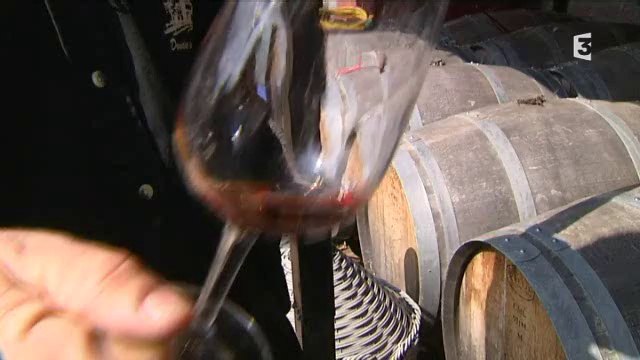 Vinaigrier à Banyuls-sur-mer