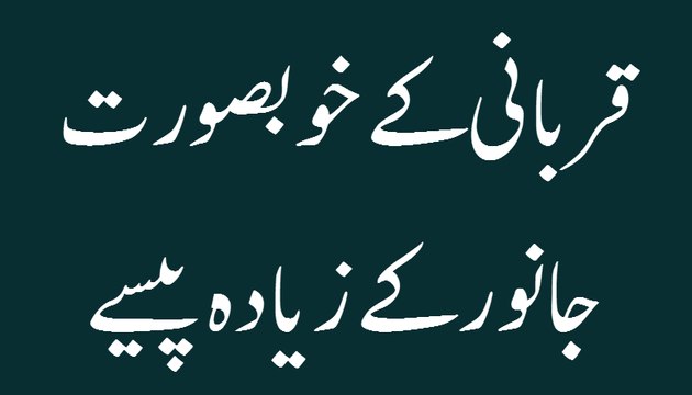 Qurbani Kay Khoobsorat Janwar Ke Ziyada Paise - Madani Guldasta 02