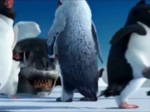 Funny Punjabi Clips Penguins talking funny in Punjabi totay best quality