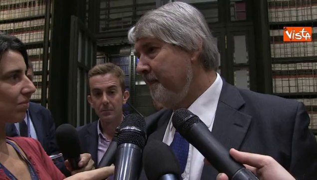02-10-14 POLETTI JOBS ACT ORDINE GIORNO O EMENDAMENTO E SCELTA POLITICA g00_53