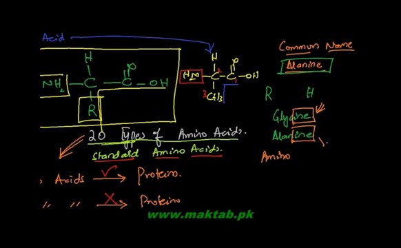FSc Chemistry Book2, CH 13, LEC 15: Introduction and Nomenclature - Amino Acids (Part 1)