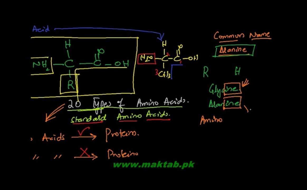 FSc Chemistry Book2, CH 13, LEC 15: Introduction and Nomenclature - Amino Acids (Part 1)