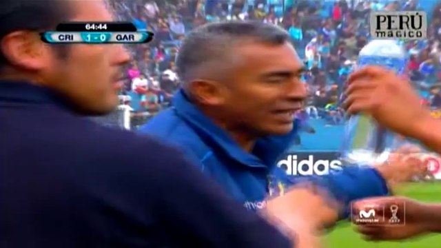 Tight-angled screamer from Santillan