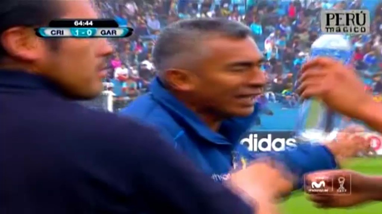 Tight-angled screamer from Santillan