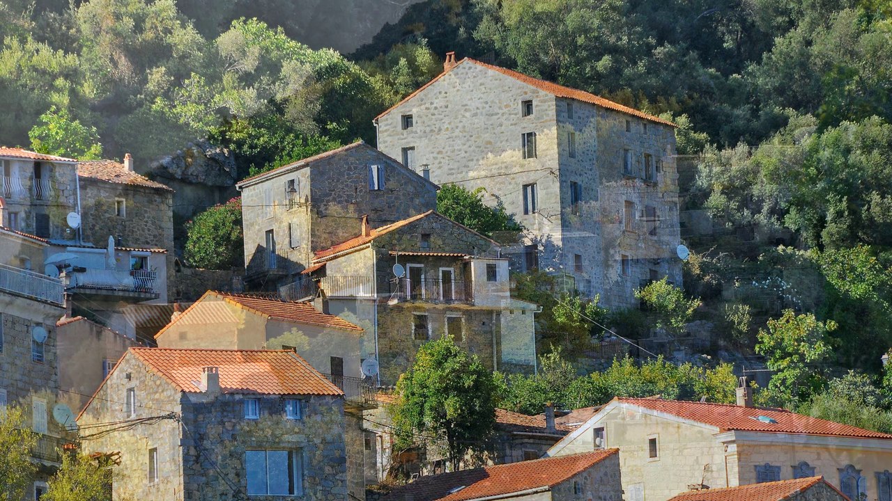 Je viens du Sud de Michel Sardou par Claire de Closets