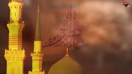 Janab e Fizza [sa] _ Mir Hasan Mir _ Nohay 2014 [HD]