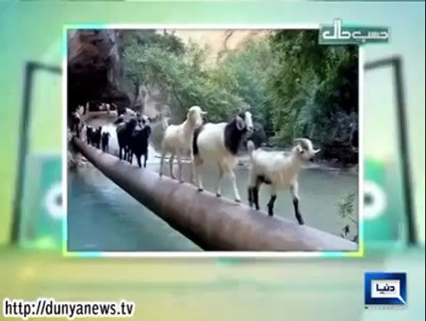 Dunya News Hasb e Haal 2nd October 2014 ( 2 Oct 2014 ) Hasb-E-Haal 2-09-2014(1)