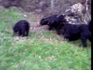 De eerste ontmoeting