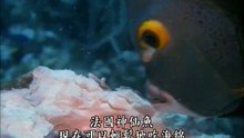 加勒比海底世界