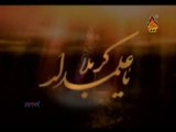 Ghazi (a.s) Mai Raazi Haan - Noha by Mir Hasan Mir 2012-13 -