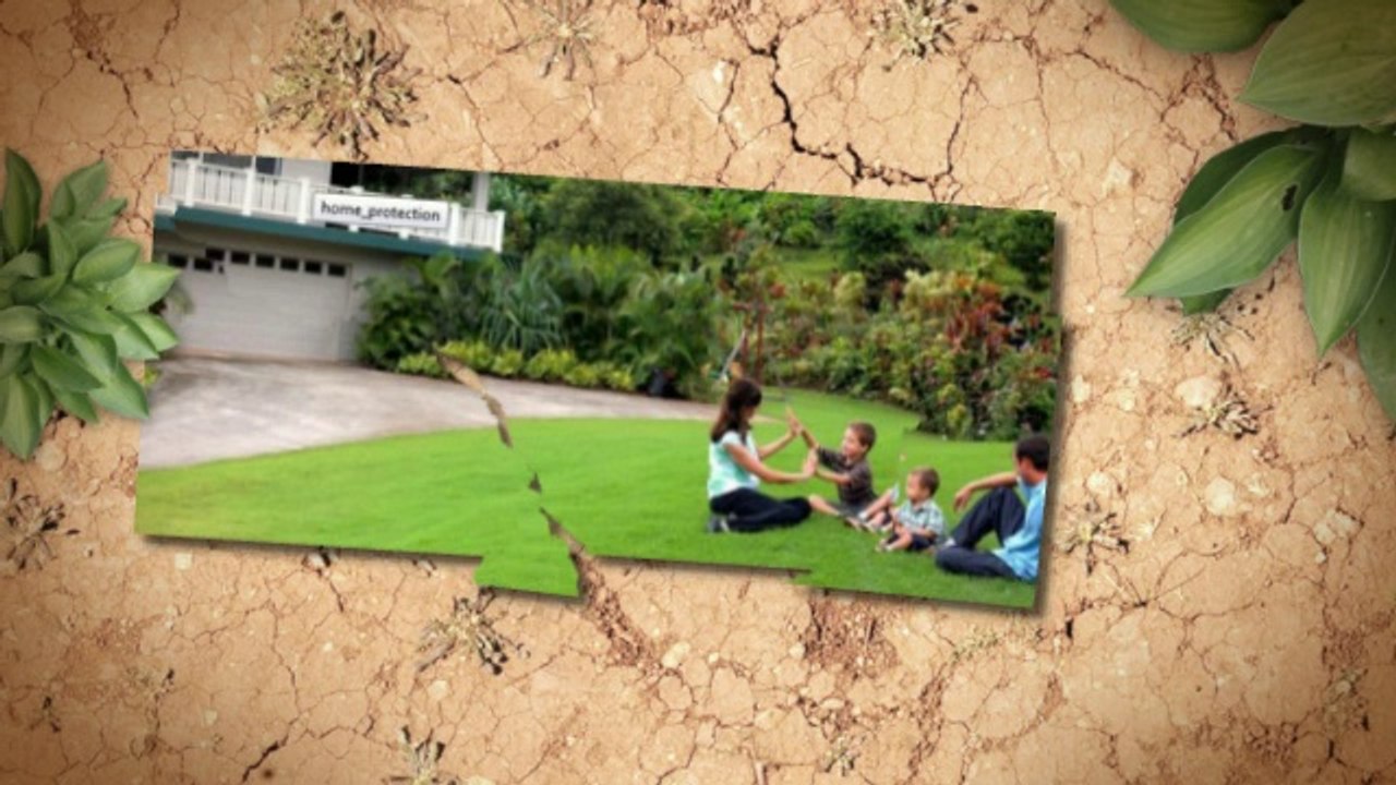 kilauea pest control