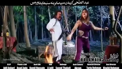 Pashto Film Zwee Da Badamala Official Teaser HD 2014 Trailer  Sehar Khan And Arbaaz Khan Song Promo