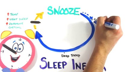 Should You Use The SNOOZE Button