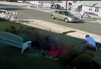 Pitbul 2 Köpeğe Birden Saldırıyor