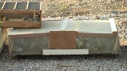 Suriye'ye Götürülürken Yakalanan Saka Kuşları Doğaya Bırakıldı