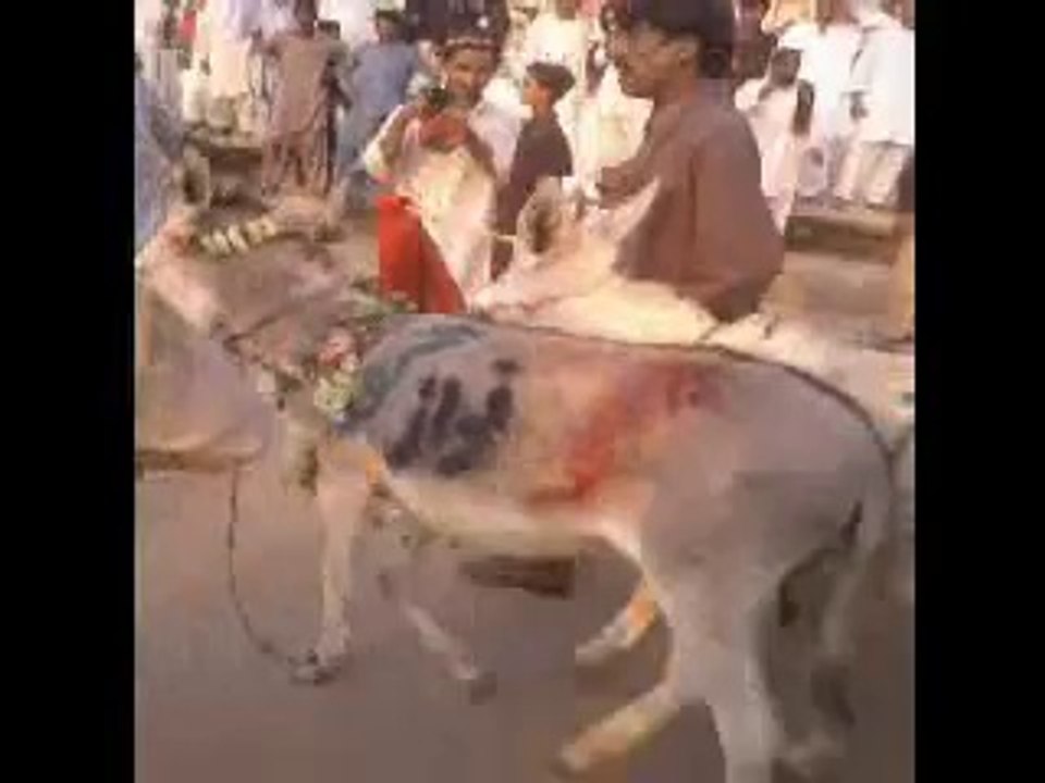 GO NAWAZ GO