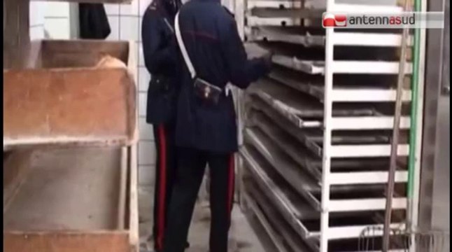 TG 02.10.14 Insetti, muffa e ruggine, chiuso panificio a Carbonara