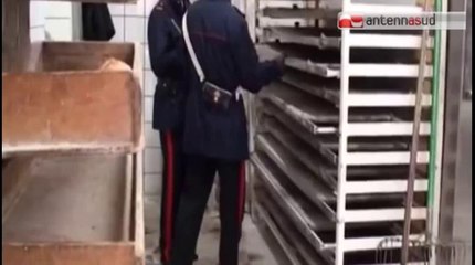 TG 02.10.14 Insetti, muffa e ruggine, chiuso panificio a Carbonara