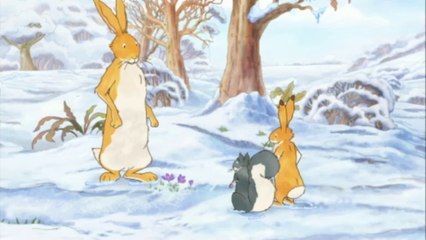 Devine Combien Je T'aime - Petit écureuil gris